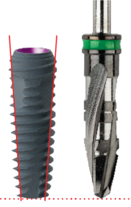Implant body
