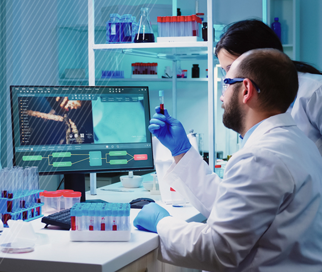 <strong> Research Results </strong>